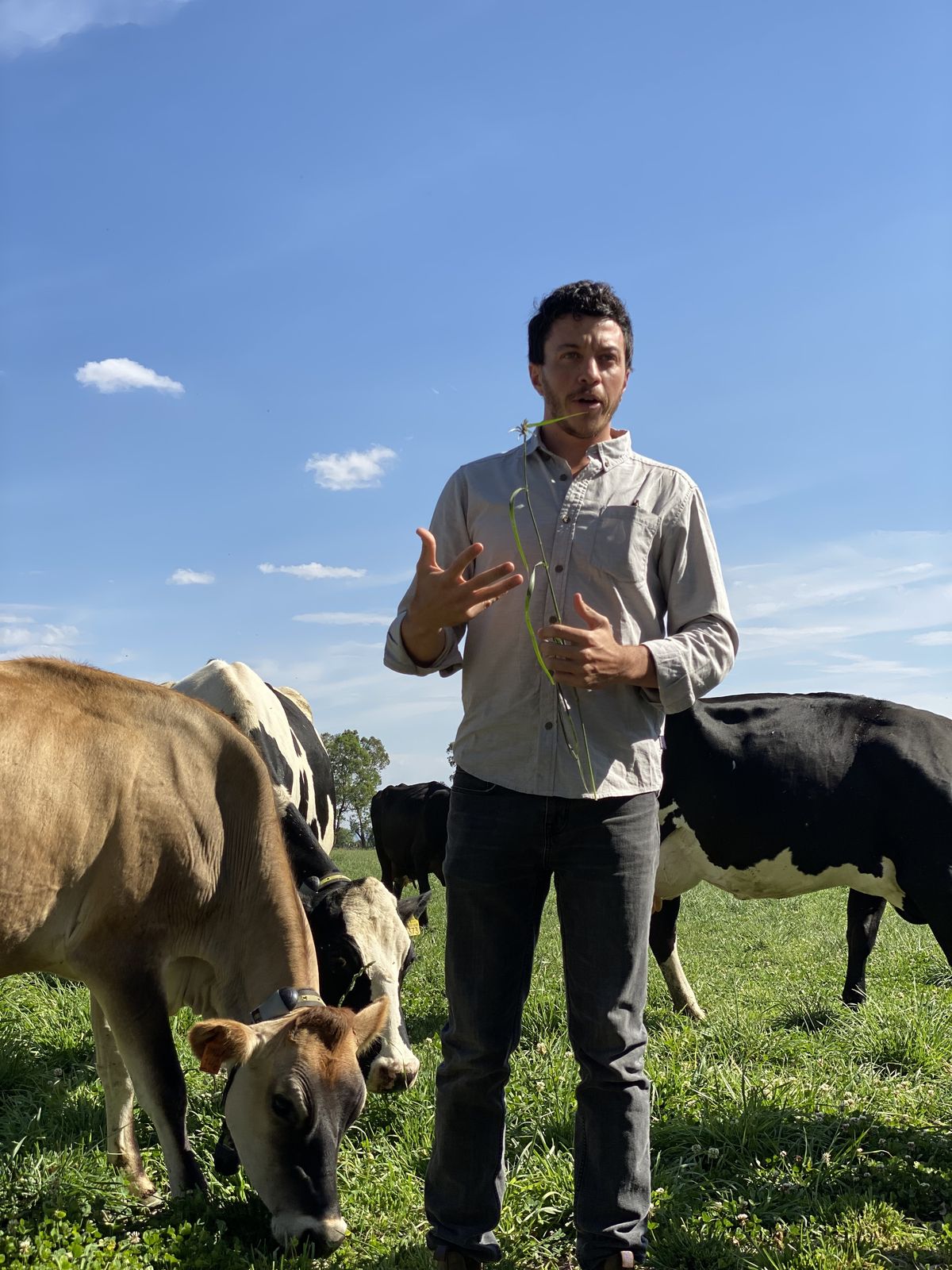 Explicación de pastoreo regenerativo en campo, 2022